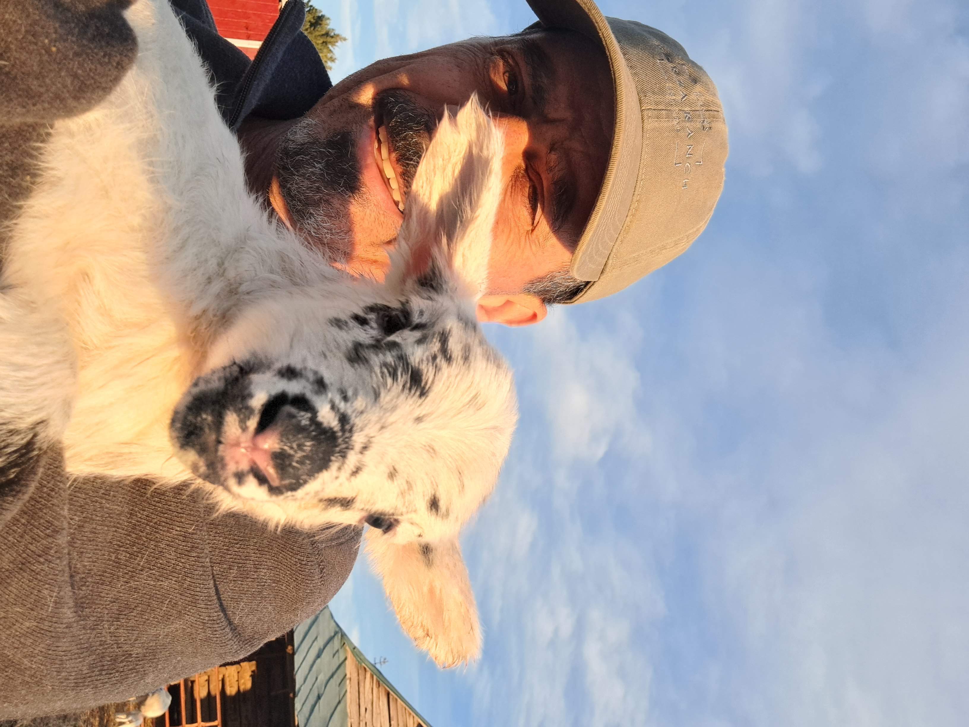 Holding a newborn lamb at Forza Ranch